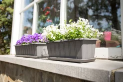 ohgreen Kunststof|Ecocheques|Balkonbak Super 50 cm Antraciet