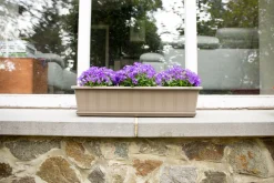 ohgreen Kunststof|Ecocheques|Balkonbak Super 40 cm Taupe