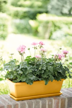 ohgreen Kunststof|Ecocheques|Barcelona balkonbak schotel