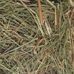 ohgreen Knaagdieren Voeding|Berghooi met brandnetel 500gr