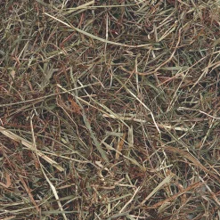 ohgreen Knaagdieren Voeding|Berghooi met munt 500gr.