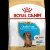 ohgreen Werelddierendag|Hond Voeding|Bhn dachshund puppy 1.5kg