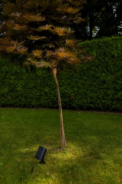 ohgreen Ecocheques|Verlichting|Bingo solar prikspot