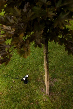 ohgreen Ecocheques|Verlichting|Bingo solar prikspot