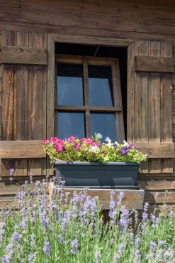 ohgreen Kunststof|Ecocheques|Bloembak relax 60cm antraciet