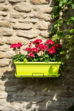 ohgreen Kunststof|Ecocheques|Bloembak relax 50x20h16 lime