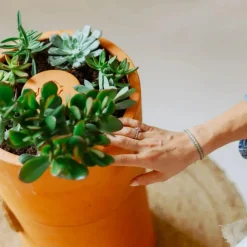 ohgreen Compostvat|Ecocheques|Bloemen composter 2 lagen