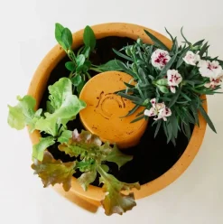 ohgreen Compostvat|Ecocheques|Bloemen composter 2 lagen