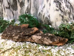 ohgreen Lemax Kerstdorpen|Boomschors kurk 12x18cm