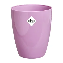 ohgreen Potten En Vazen|Ecocheques|Brussels diamond orchidee hoog 12,5