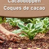 ohgreen Bodemverbetering|Ecocheques|Cacaodoppen 40l