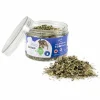 ohgreen Speelgoed|Catnip kruid
