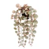 ohgreen Sfeermakers|Ceropegia woodii hangend in pot - l46xb12xh10cm