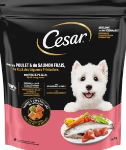ohgreen Hond Voeding|Cesar droogvoer kip zalm 1,4kg