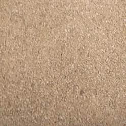 ohgreen Bodembedekkers|Chinchillazand - 3 kg