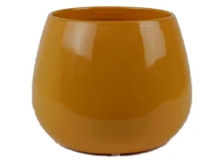 ohgreen Potten En Vazen|Cielo pot glans