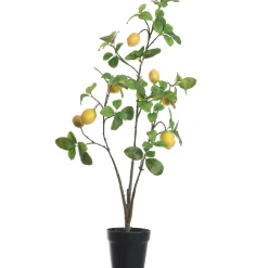 ohgreen Sfeermakers|Citroenplant geel pot 105 cm