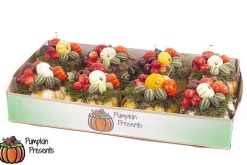 ohgreen Groenten|Ecocheques|Compositie pompoen arrangement