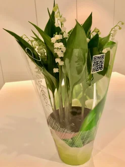 ohgreen Voorjaar|Ecocheques|Convallaria majalis of meiklokjes p13