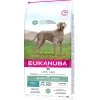 ohgreen Werelddierendag|Hond Voeding|Daily care sensitive joints