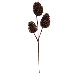 ohgreen Kerstdecoratie|Dennekegel tak 55cm bruin