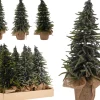 ohgreen Kerstbomen|Dennenboom in pot