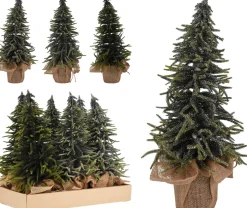 ohgreen Kerstbomen|Dennenboom in pot