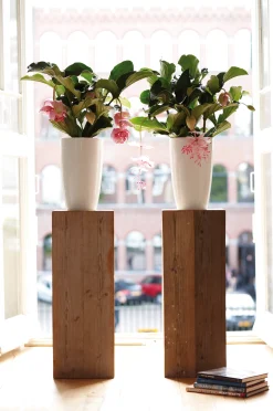 ohgreen Ecocheques|Potten En Vazen|Diamond hoog 32cm