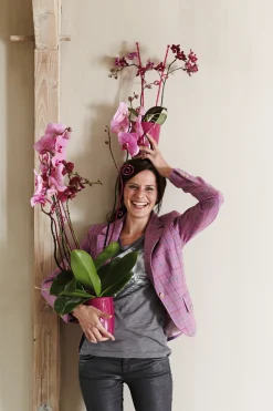 ohgreen Kunststof|Ecocheques|Diamond orchidee hoog 12,5cm
