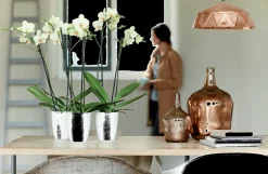 ohgreen Kunststof|Ecocheques|Diamond orchidee hoog 12,5cm