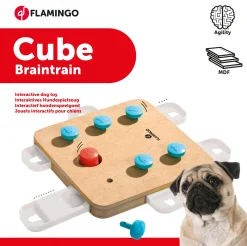 ohgreen Speelgoed|Doggy brain train cube 32x32x5cm