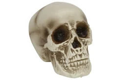 ohgreen Sfeermakers|Halloween|Doodskop natuur