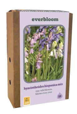 ohgreen Ecocheques|Bloembollen|Doos 'everbloom' met 25 bloembollen hyacinthoides hisp. mix