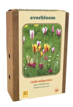 ohgreen Ecocheques|Bloembollen|Doos 'everbloom' met 20 bloembollen tulipa belle tulipa mix