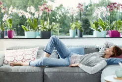 ohgreen Ecocheques|Potten En Vazen|Duo orchidee 25cm