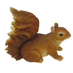 ohgreen Beelden|Eekhoorn