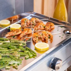 ohgreen Andere Toestellen|Elektrisch plancha roestvrij staal 160