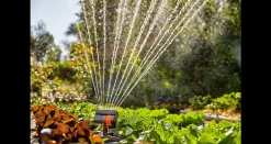 ohgreen Bewatering|Ecocheques|Gardena zwenksproeier AquaZoom compact