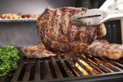 ohgreen Bbq|Gasbarbecue Genesis E-315, Black