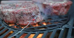 ohgreen Bbq|Gasbarbecue spirit epx-315 premium gbs