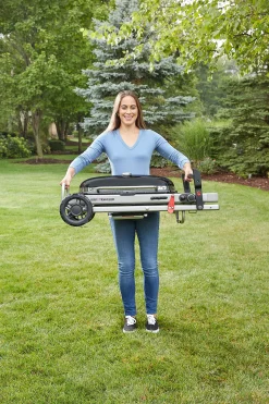 ohgreen Bbq|Gasbarbecue traveler