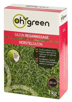 ohgreen Zaden|Maak Je Tuin Lenteklaar|Gazonzaad herstelgazon 1kg