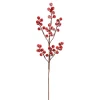 ohgreen Kerstdecoratie|Gesneeuwde bessentak 60cm rood