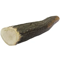 ohgreen Hond Voeding|Werelddierendag|Gewei Edelhert M 1 st. (krimp)