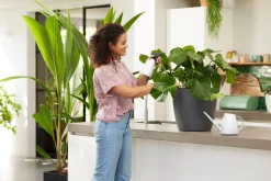 ohgreen Bewatering|Ecocheques|Gieter 1,8l