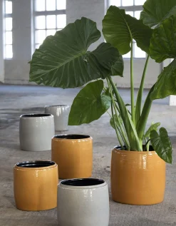 ohgreen Potten En Vazen|Glazed shades Sierpot l38xb38xh38 honey