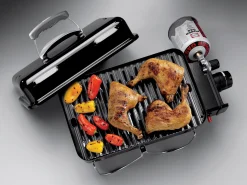 ohgreen Bbq|Go-anywhere gasversie