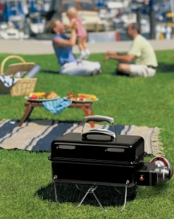 ohgreen Bbq|Go-anywhere gasversie