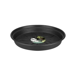 ohgreen Kweekbakken|Ecocheques|Green basics schotel 34