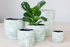 ohgreen Potten En Vazen|Grote orchidee pot reef